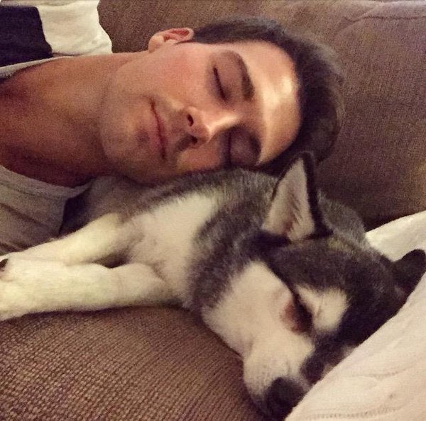 sassmazlow's tweet photo. I miss #FoxPhotoFriday 😞 https://t.co/OnhLMZ2lxN