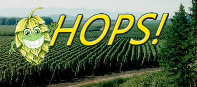 American Craft Beer tweet media