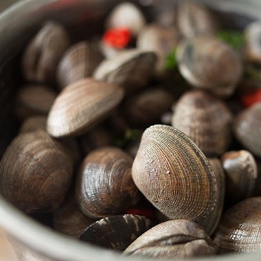 SirenSeaSA's tweet photo. These live #manila #clams just came in from Dabob Bay, WA! Headed to our customers this week! #localseafood #knowyourfisherman https://t.co/5F68f4JuXa