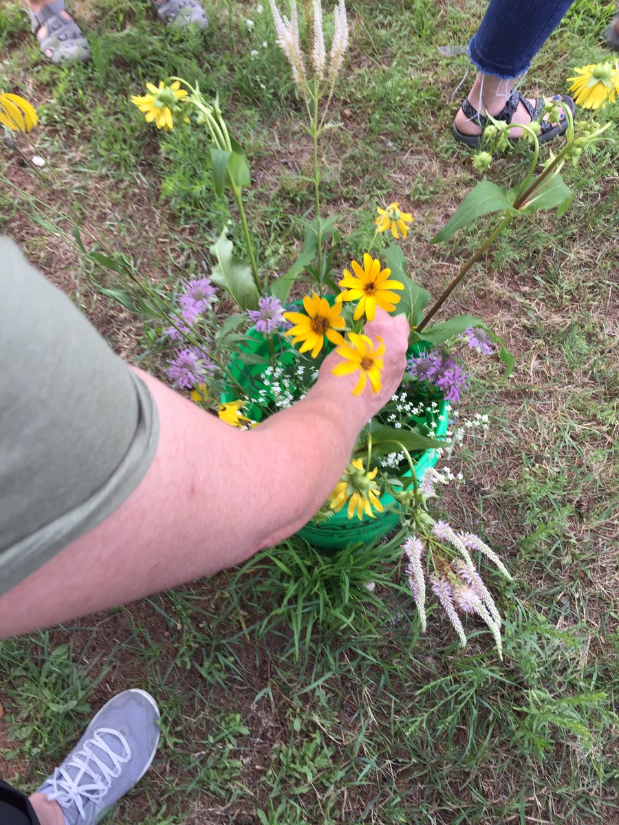 librarygrl2's tweet photo. We're learning about indigenous plants. #EarthPartnership https://t.co/n9YiOgper6