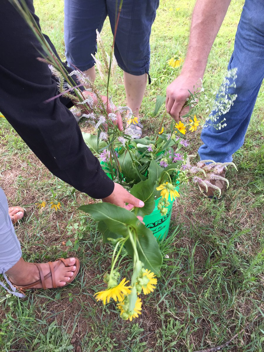 librarygrl2's tweet photo. We're learning about indigenous plants. #EarthPartnership https://t.co/n9YiOgper6