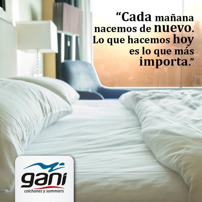 TocoMaderaCosas's tweet photo. ¡Muy buen comienzo de #Semana!

#BuenLunes #BuenaSemana https://t.co/aFEEFbq4IK