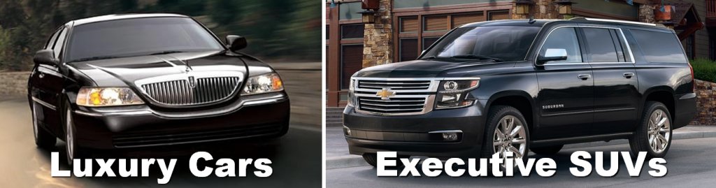 AspenLimoMN's tweet photo. Chauffeured car services from Aspen Limo cater to individuals and businesses that demand the very best. https://t.co/1IKEKtHfFL https://t.co/CtYi0rSR0z