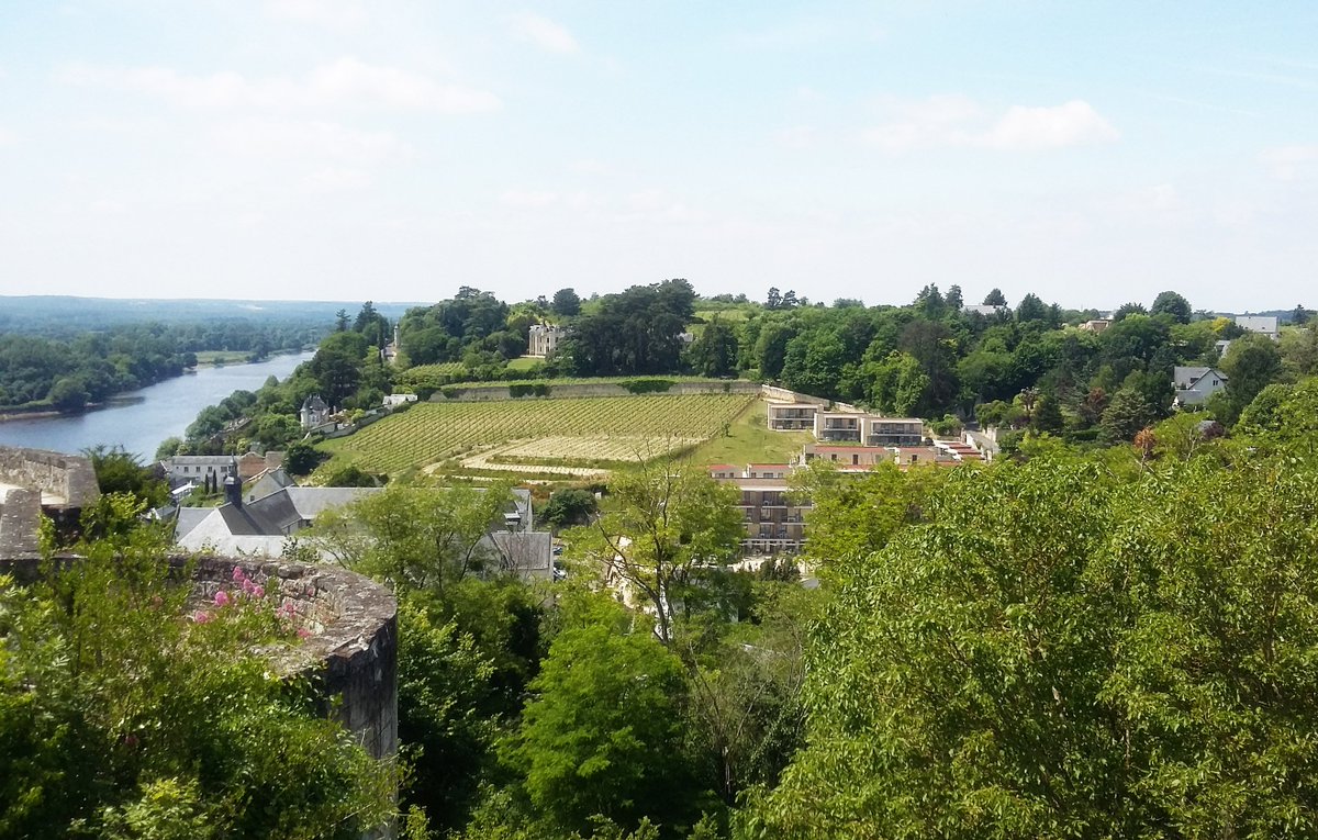 Odalys Vacances tweet media