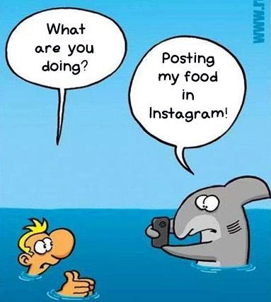 sjsharkie's tweet image. #EveryWeekIsSharkWeek!

Follow me:
FB: \sjsharkie
TW: @ sjsharkie
IG: @ officialsjsharkie
SC: thesjsharkie