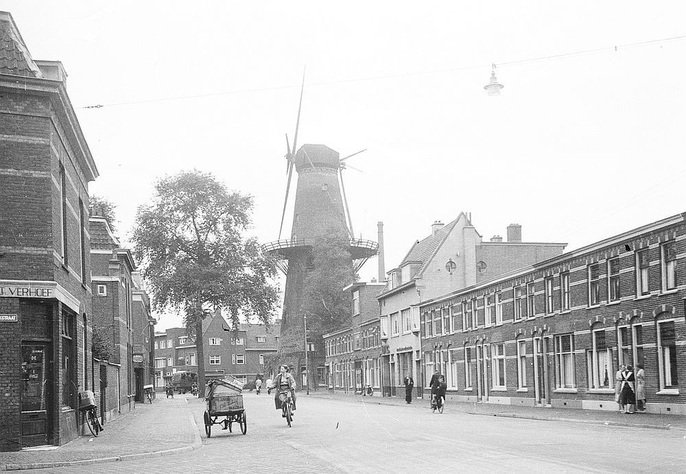 Vogelenbuurt / Adelaarstraat - 1954 | Vanaf de hoek met de Valkstraat (HUA)