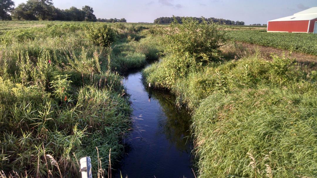 DrKatfish's tweet photo. Not my usual field site today! Helping #TankLab sample the fish community of Shatto Ditch, an agricultural stream #fieldwork https://t.co/BKvTL03ioG