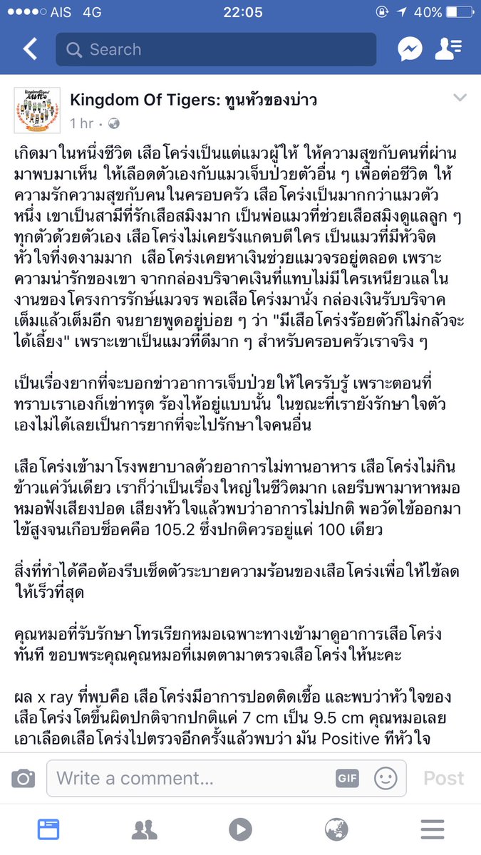 Bonusiie's tweet photo. น้องเสือโคร่ง ขอให้ปลอดภัยนะลูกก อ่านแล้วใจหายจะร้องไห้ตามสงสารน้องมากๆ น้องเป็นแมวตัวแรกที่ทำให้เราชอบแมวพันธุ์ Scottish fold จนซื้อตาม 
:( https://t.co/0WOzr44zQs