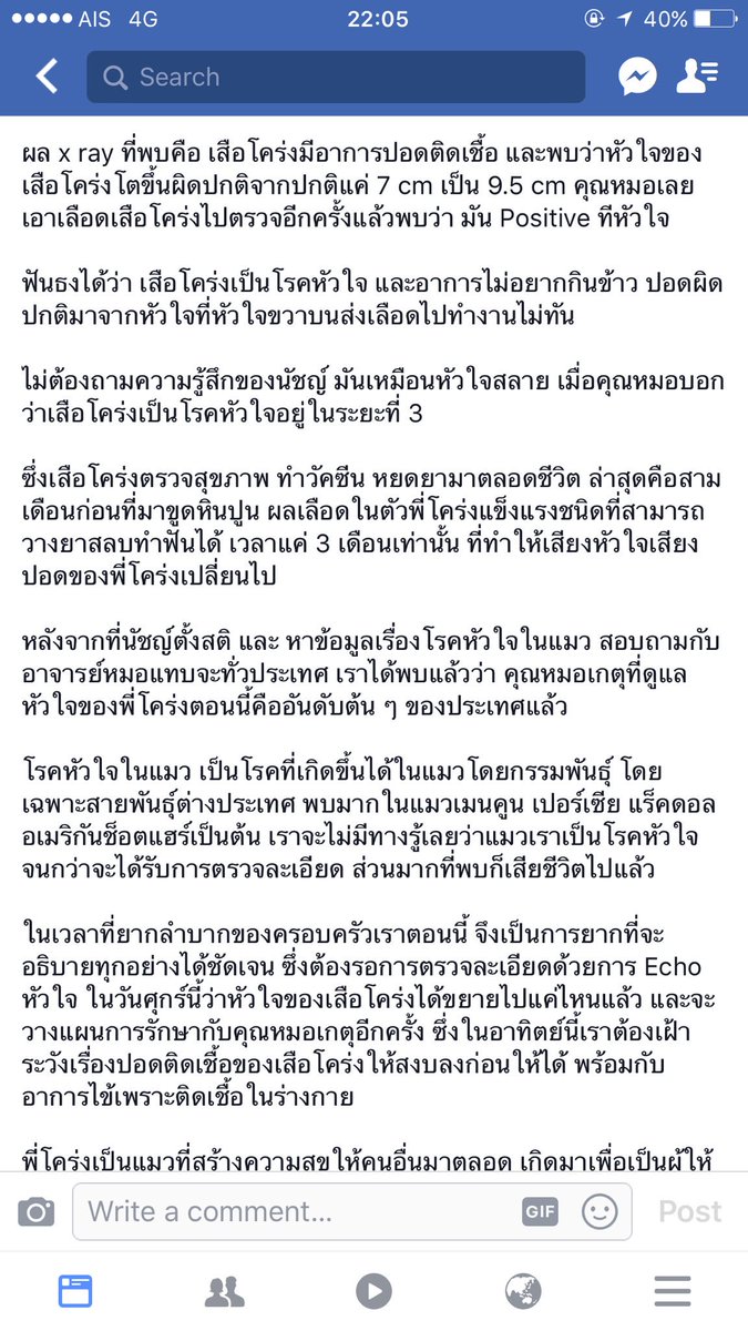 Bonusiie's tweet photo. น้องเสือโคร่ง ขอให้ปลอดภัยนะลูกก อ่านแล้วใจหายจะร้องไห้ตามสงสารน้องมากๆ น้องเป็นแมวตัวแรกที่ทำให้เราชอบแมวพันธุ์ Scottish fold จนซื้อตาม 
:( https://t.co/0WOzr44zQs
