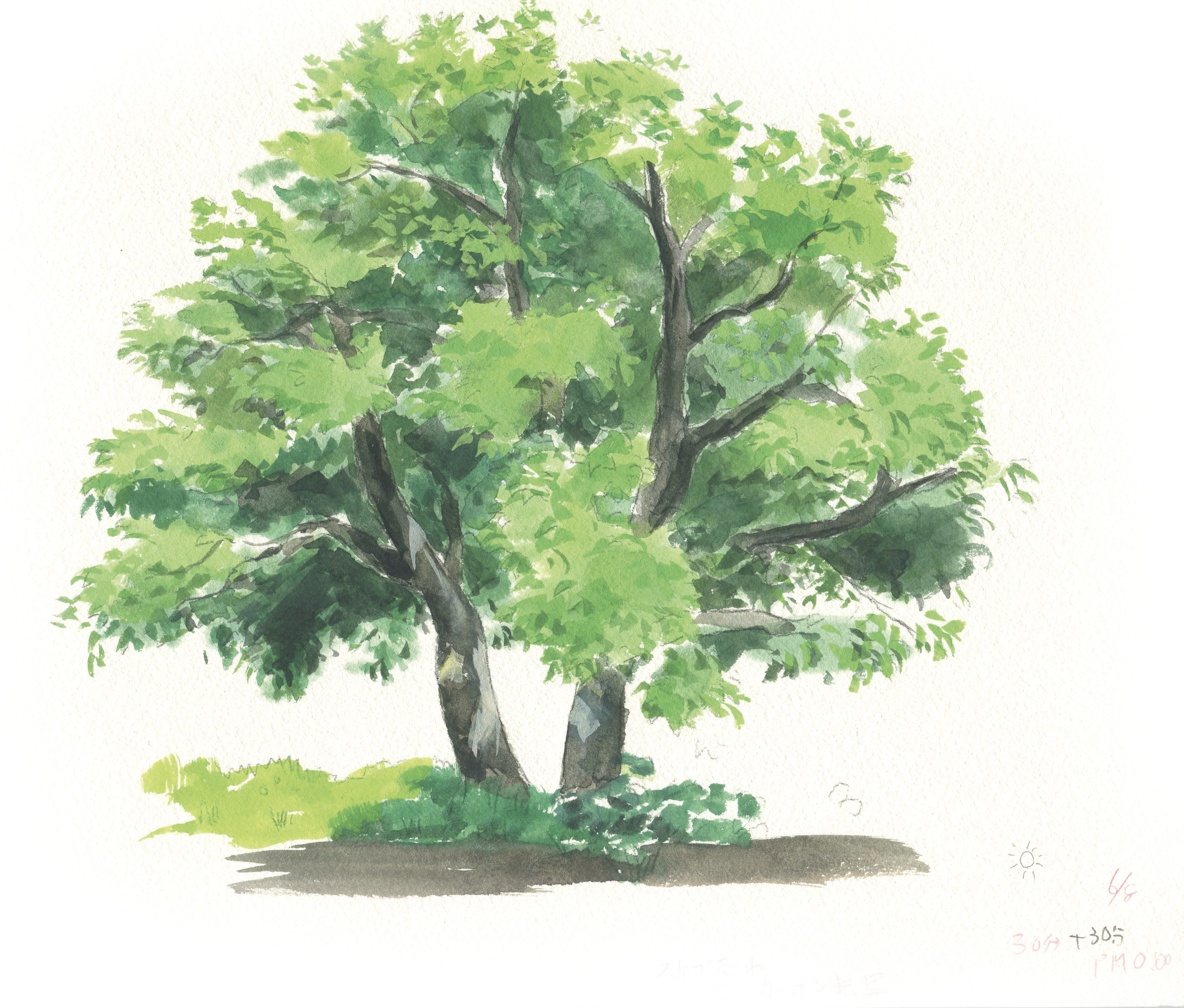 よー清水 新刊技法書 発売中 背景 描きたい人は水彩スケッチやっとくと手の速さと色の使い方など学べるのでウルトラ超スーパーハイパーオススメだよ 絵の具は高い水彩絵具より ポスターカラー使えば安い 数百円 し扱いやすいです T Co