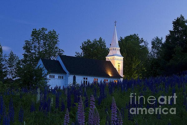 jerichohillspix's tweet photo. New artwork for sale! - "White Church at Dusk in a Field of Lupines" - https://t.co/dekDlhE4ln @fineartamerica https://t.co/OES7aq5C8Z