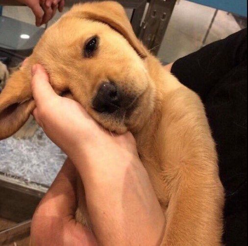 MensHumor's tweet photo. Monday mood. https://t.co/cM1giyfCBX