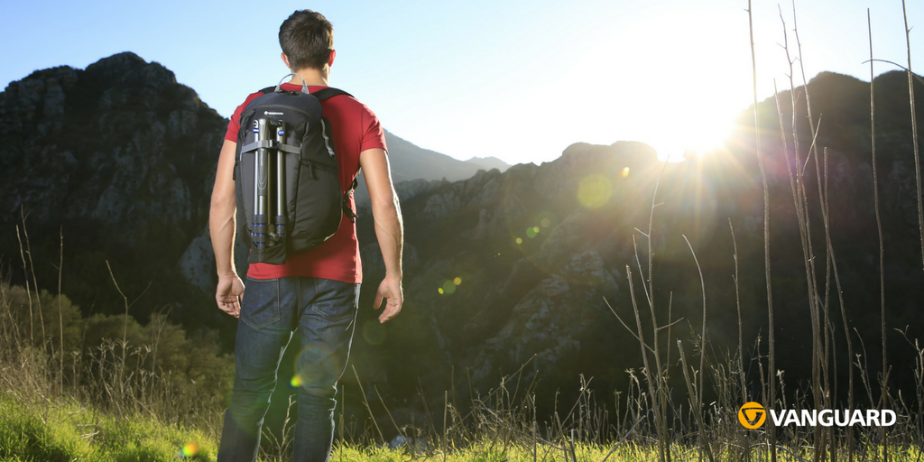 Vanguard España tweet media