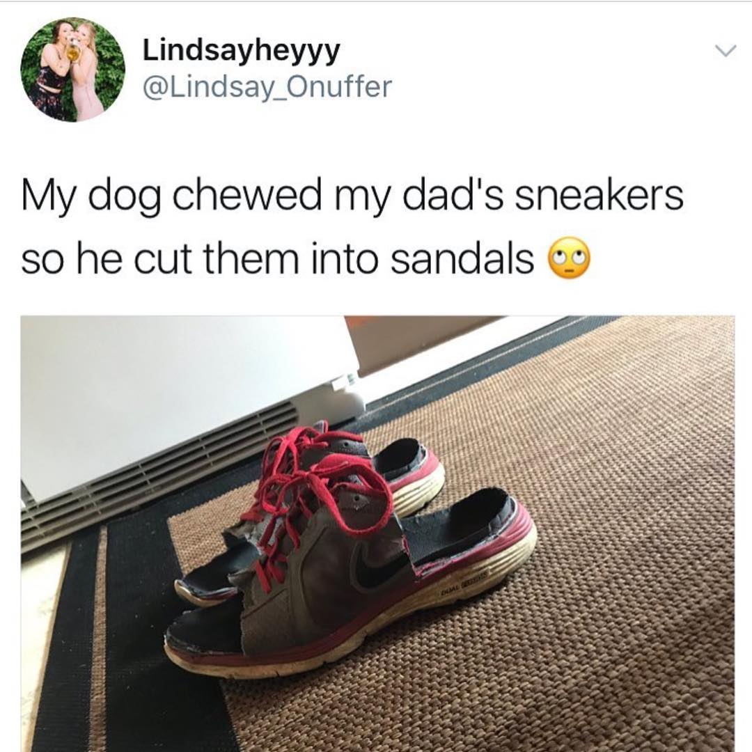 MensHumor's tweet photo. Ultimate Dad Move. https://t.co/jMcXoajgzG