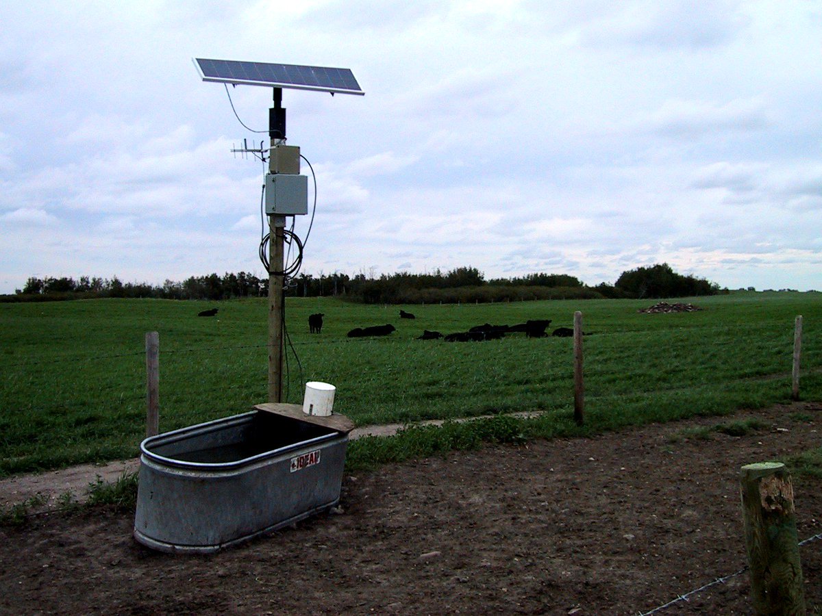 DrBart_Beef's tweet photo. Water quality and Cattle Performance - WBDC Applied Research
https://t.co/mjEiltOiUw https://t.co/L9fRoA8Fg9