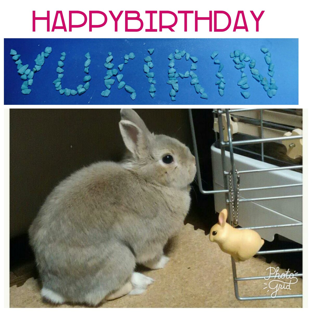 TubeMoka's tweet photo. @yukidolphin1 ゆきりんお誕生日おめでとう🎉
いつも気遣いありがとう❗感謝してます❤
これからも仲よくしてね🎵 https://t.co/RGKcYN6SNb