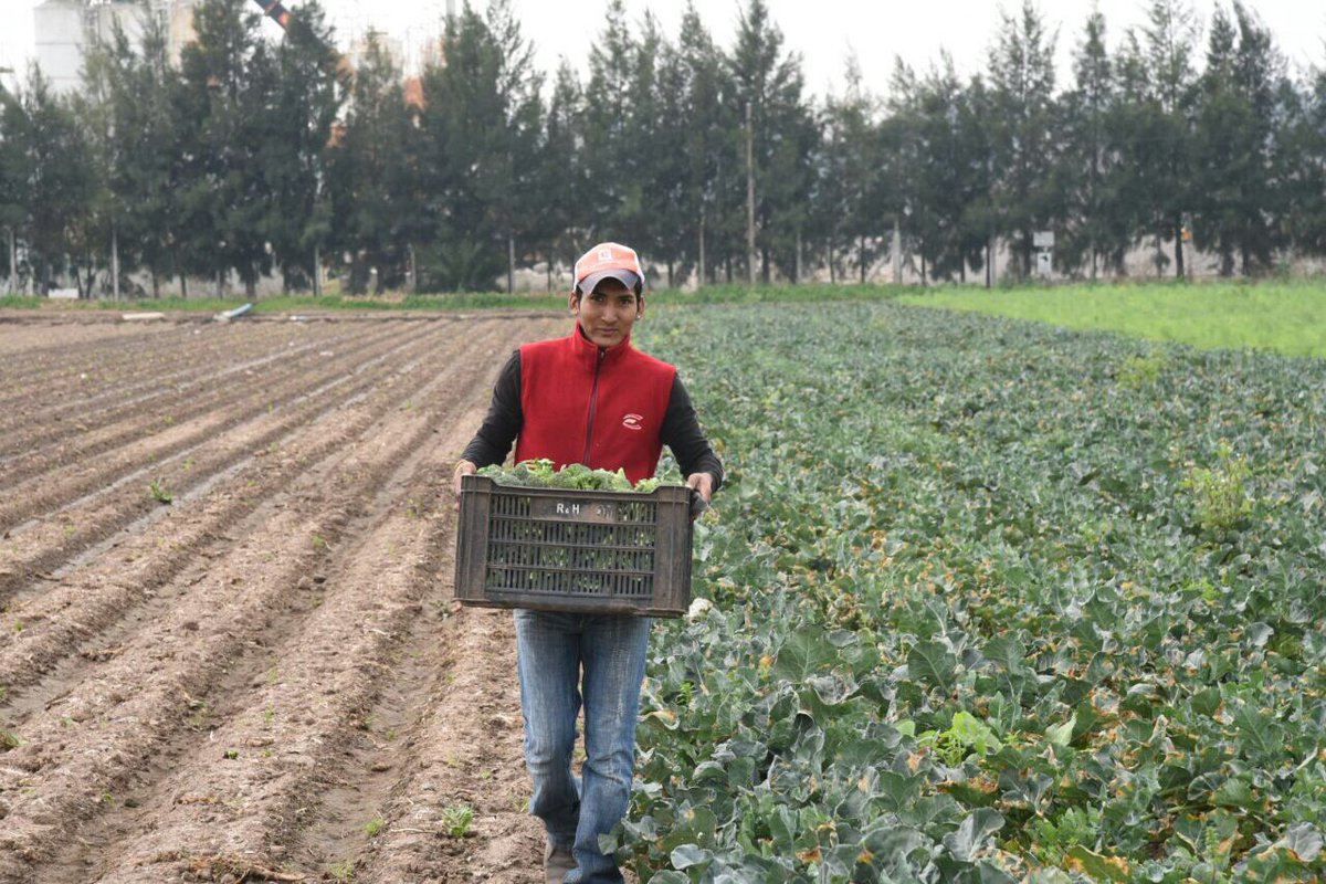 VeroIrizar's tweet photo. Seguimos defendiendo el trabajo que realizan los productores del área metropolitana para mejorar la producción agroecologica #CinturónVerde https://t.co/AkpArC7dcc