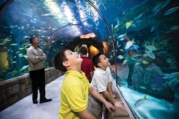 IAAPAHQ's tweet photo. Check out July's New Member Spotlight: @AudubonNature! https://t.co/8AFQfwreKu #IAAPA #beIAAPA https://t.co/6Z0RAlShay