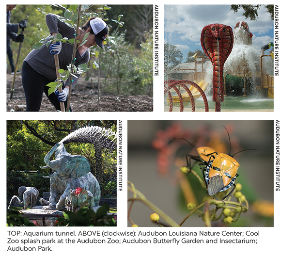 IAAPAHQ's tweet photo. Check out July's New Member Spotlight: @AudubonNature! https://t.co/8AFQfwreKu #IAAPA #beIAAPA https://t.co/6Z0RAlShay