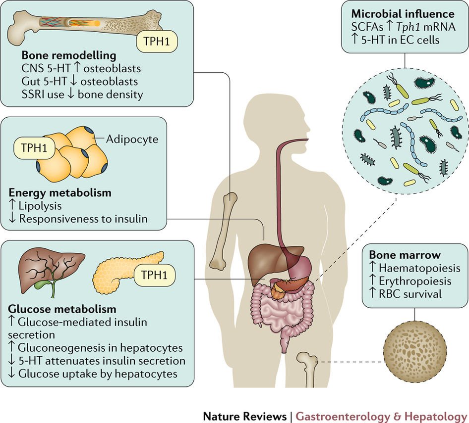 Nature Reviews Gastroenterology & Hepatology on Twitter "TrendingNow