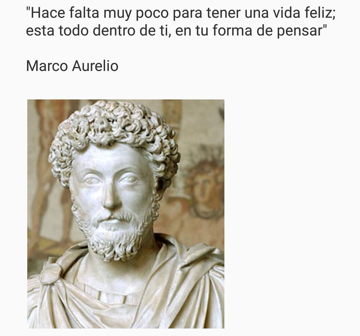 laotrateoria's tweet photo. #marcoaurelio #vida #felicidad #mente #formadepensar #vida https://t.co/c8qWJMdQvk