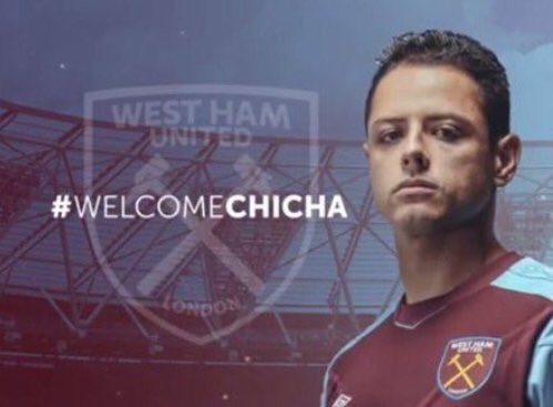 De Volea... tweet media