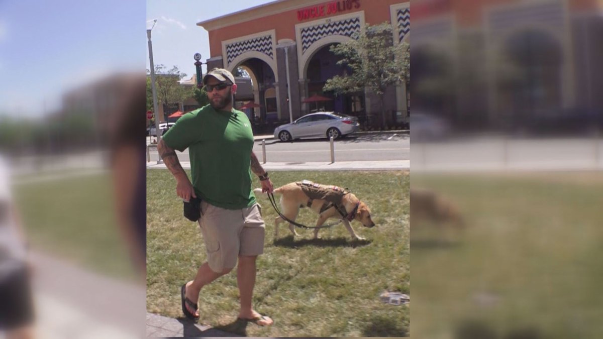 wusa9's tweet photo. Veterans w/ PTSD would like to have access to a service dog. But the VA rules don't allow it. https://t.co/iEPa6A8QAT https://t.co/0pUJhyc7xP