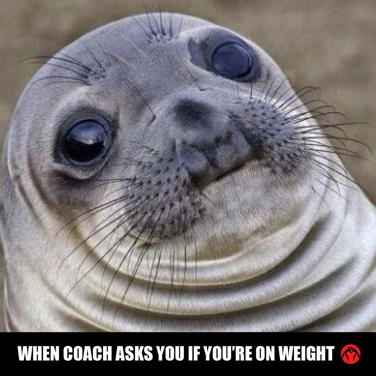 WrestlingMart's tweet photo. #wrestling #wrestlingproblems #wrestlerproblems #wrestlerlife #cuttingweightsucks #cuttingweight #WrestlingMart https://t.co/TTS8awc6Gj