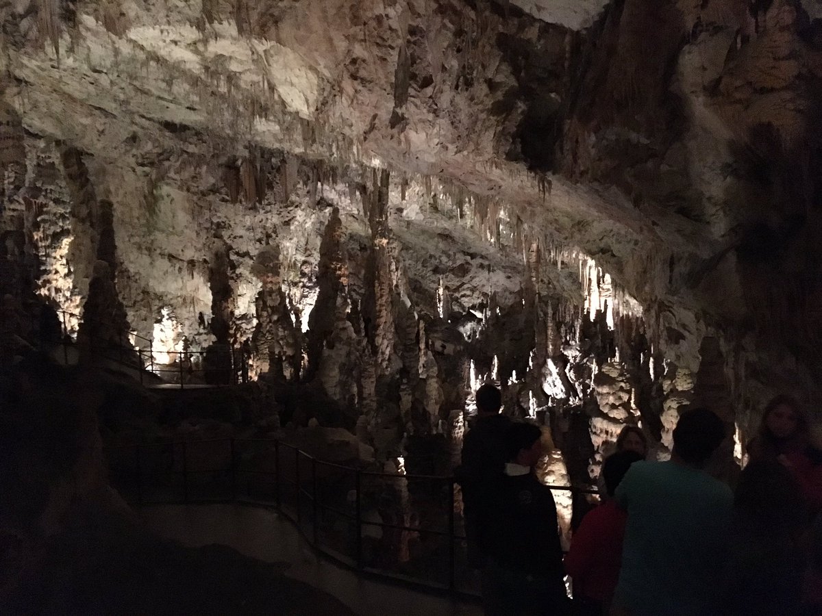 jonasdemaere's tweet photo. Does it rain in caves? #cave #rain #openquestion https://t.co/BJCvMrA6h5
