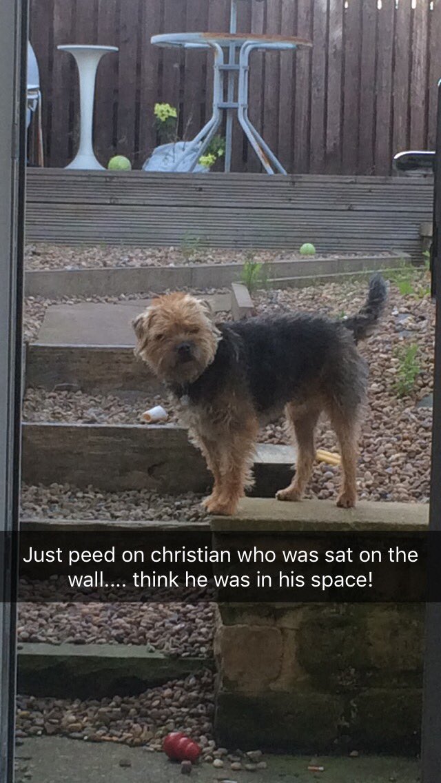 BT_Darwin's tweet image. Love my daddy really #BTposse #SorryNotSorry