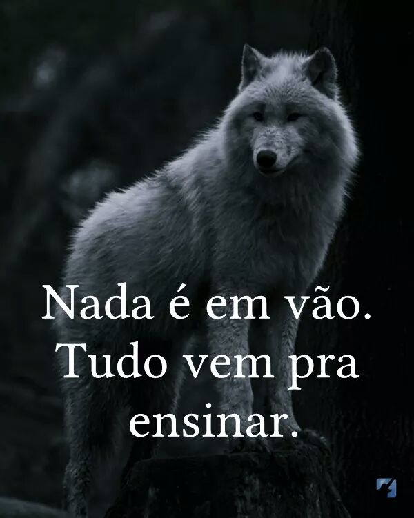 SamaraBTimBeta's tweet image. 