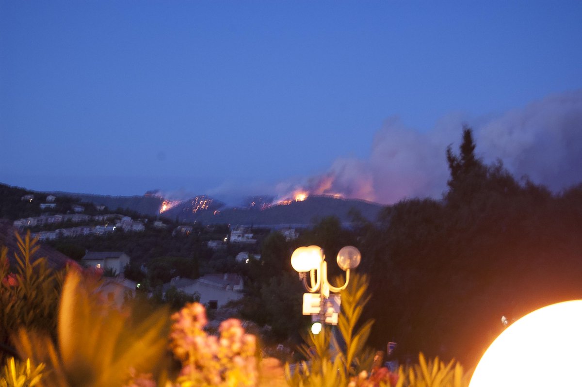 GraphisteSmall's tweet image. #FeuxDeForets