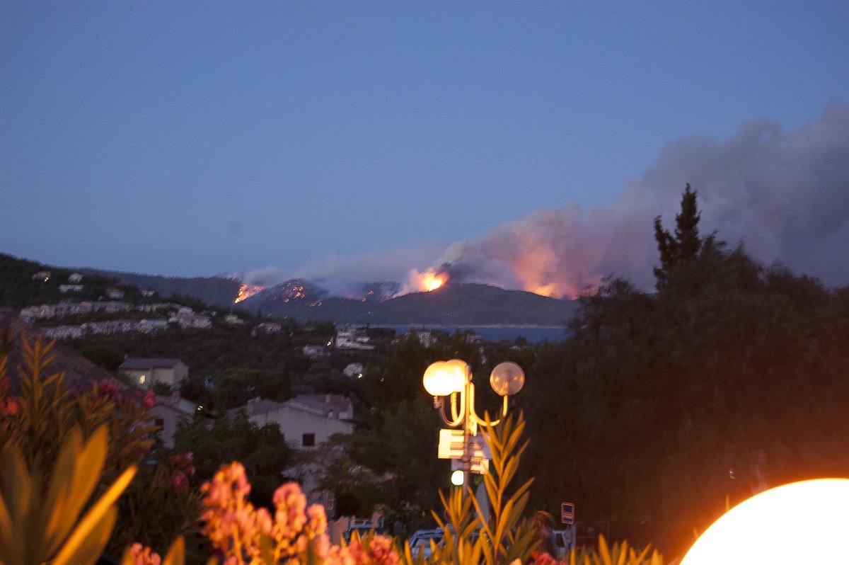 GraphisteSmall's tweet image. #FeuxDeForets