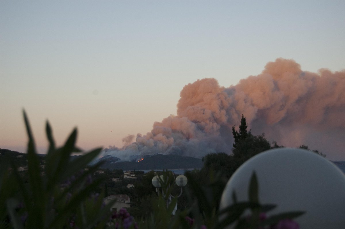 GraphisteSmall's tweet image. #FeuxDeForets