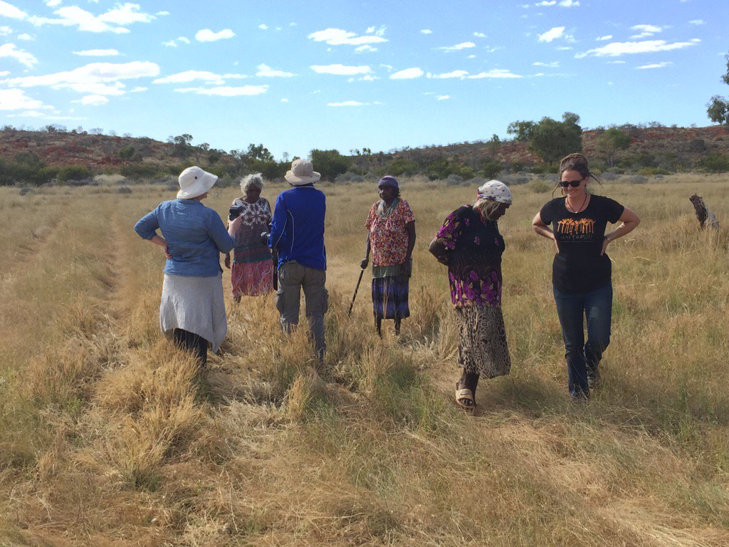 MathewTrinca's tweet image. Thank you @MartumiliArtist for great welcome at Parnngurr. A big part of Seven Sisters @nma bit.ly/2tUu3vT