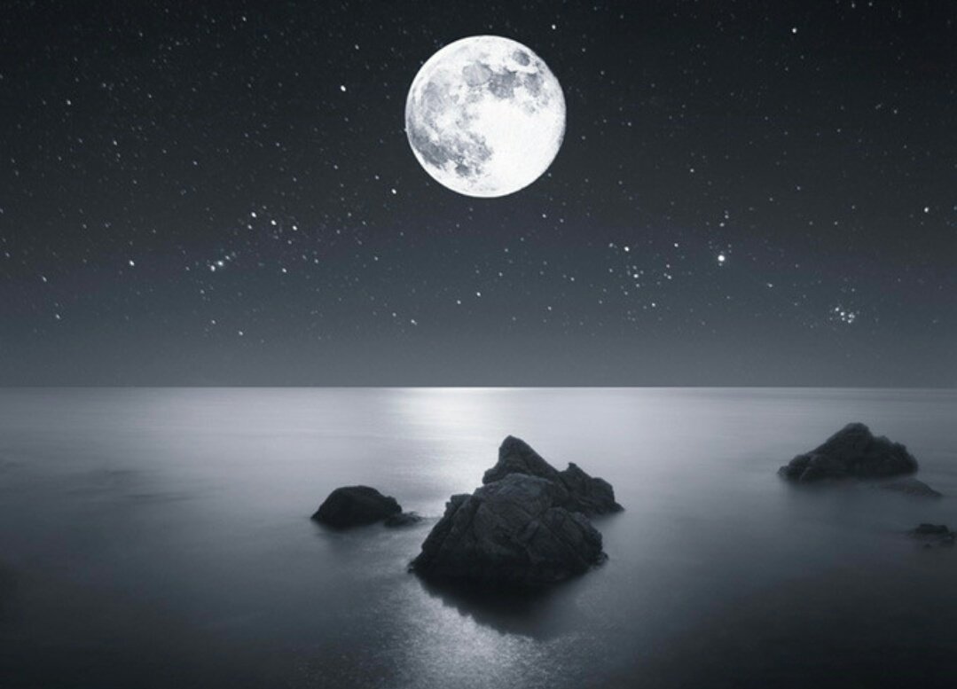 برق الشقردي tweet media