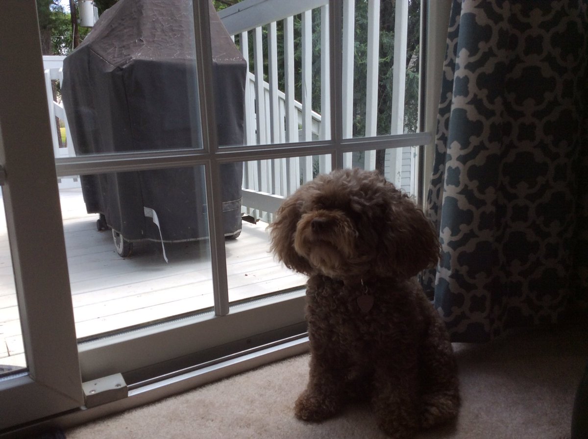 Jane Pearson tweet media