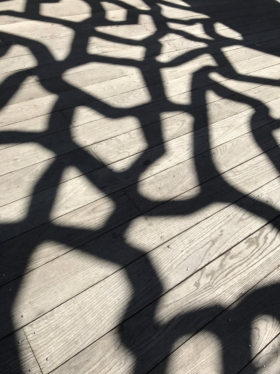 stephanejoly's tweet image. #comprend qui peut