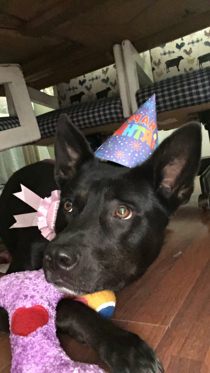 Paisley40557373's tweet photo. it's my birthday today bitches!! #2 #gettingsoold https://t.co/YKT3TRueeO