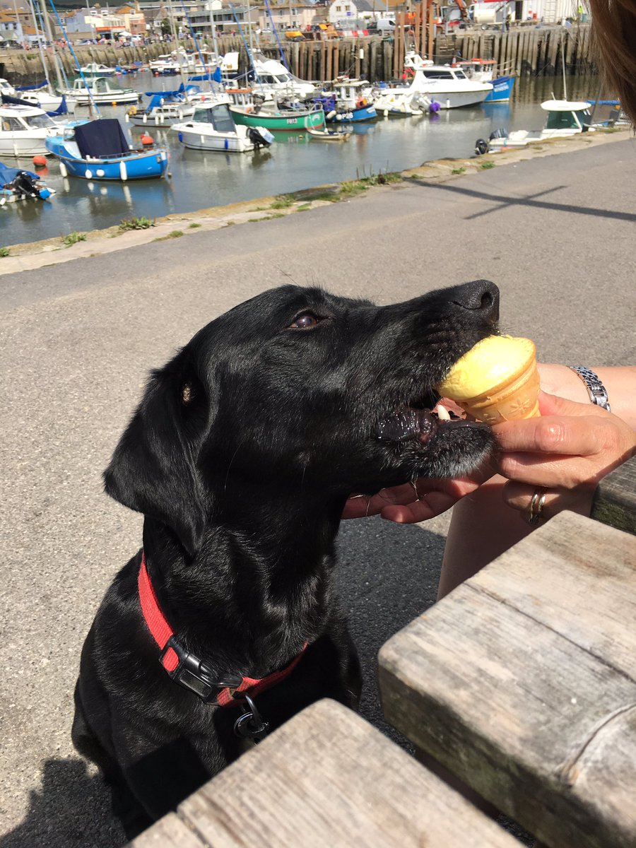 blackbrecon's tweet photo. No #DavidTennant but the ice cream was good #westbay #broadchurch 🍦☀️ https://t.co/ckuNb84BLY