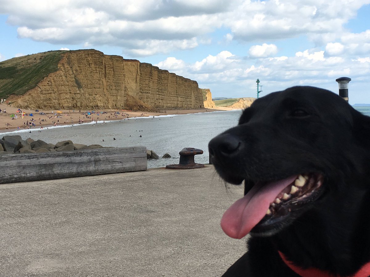 blackbrecon's tweet photo. No #DavidTennant but the ice cream was good #westbay #broadchurch 🍦☀️ https://t.co/ckuNb84BLY