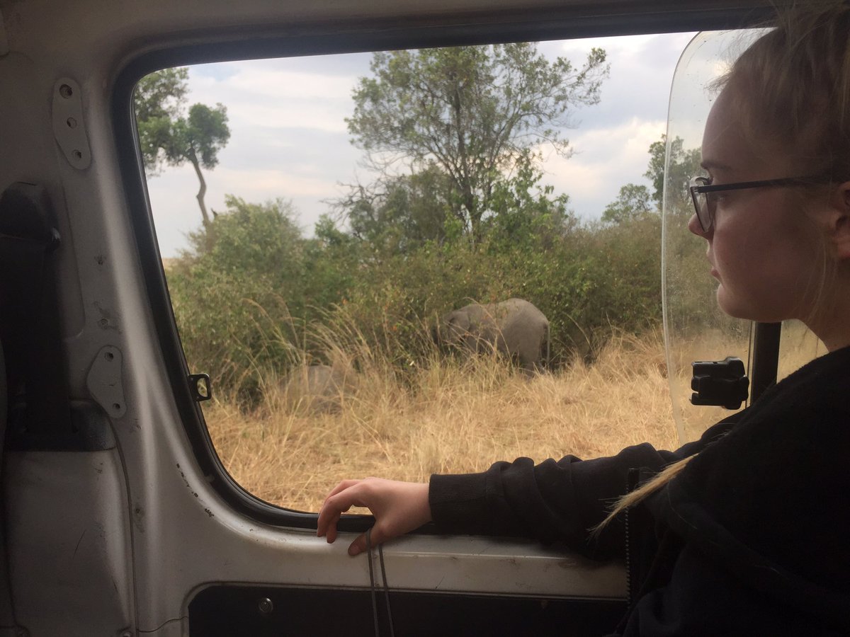 KenyaLuttColl's tweet photo. Safari 2 https://t.co/HVy0beDA7K