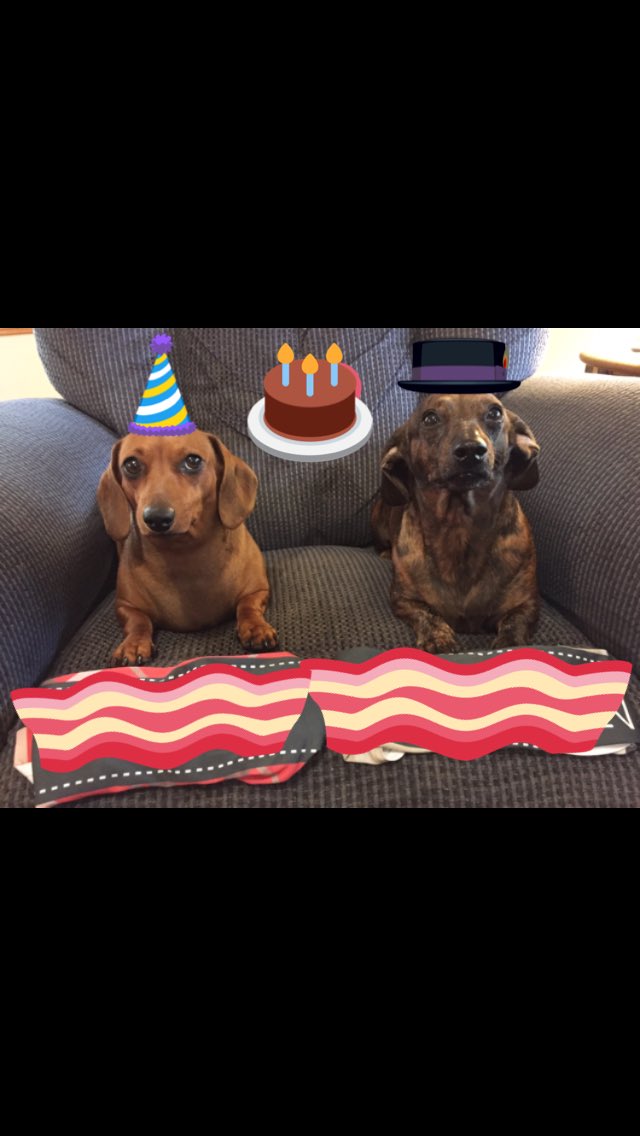 RaisinboyJelly's tweet photo. @DaSisfurs How did mom ever ever miss your birthday!! ๐ ๐ #SheFired. Hope you had a good day. ๐๐๐๐๐ https://t.co/2kw4xc7u5Q