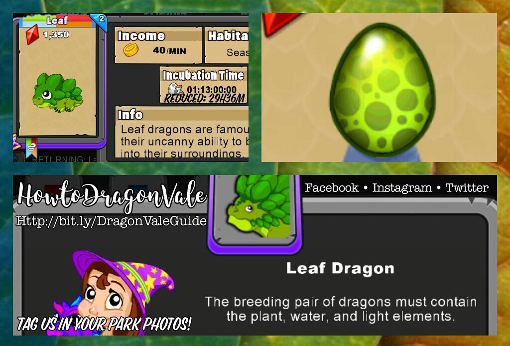 HowToDragonVale's tweet photo. Last Call: Available thru July 25, 2017! Limited #LeafDragon Elemental combo requires Plant, Water & Light Elements 37h/29h36m #DragonVale https://t.co/VMFzEsqUnf