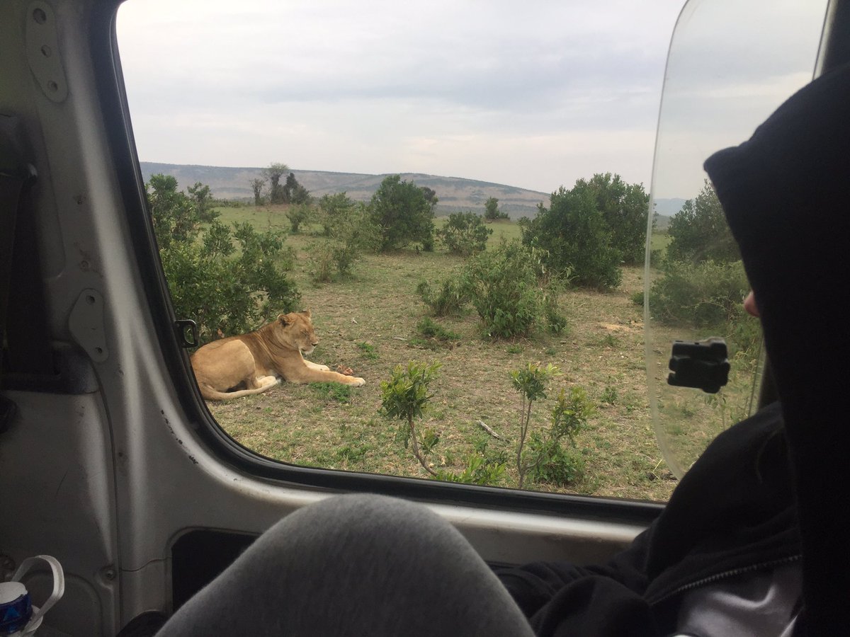 KenyaLuttColl's tweet photo. Safari adventures #stuckinthemud https://t.co/KFstlsRy2g
