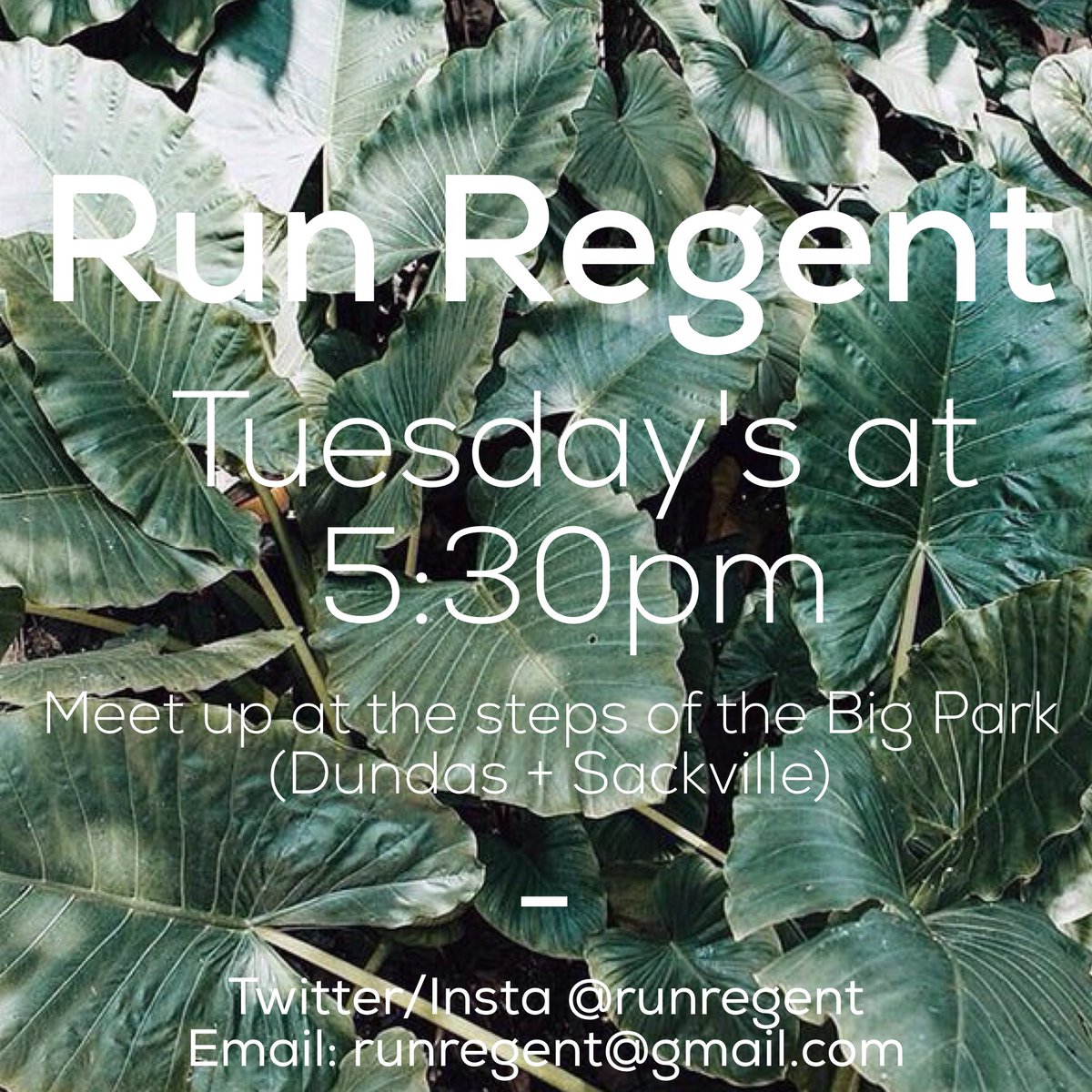 runregent's tweet photo. Join us under the sun tmrw for a run through Regent Park ☀️🌿 https://t.co/HtLcOq8WC4