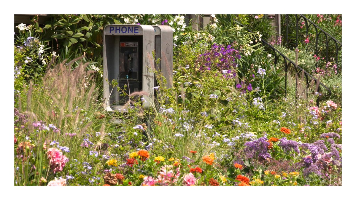 gucci na overgrow in an urban setting, a from the Gucci Bloom campaign, for the new fragrance. #InBloom https://t.co/6LfMmhVwk0 https://t.co/hVRHnzRENJ" / Twitter