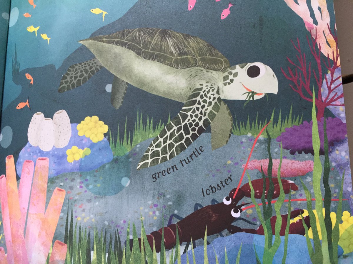 catherine_barr's tweet photo. My new series with Natural History Museum pub 3 Aug! @Shop_at_NHM @NHM_London @QuartoKids @umegorou #conservation #elephants #seaturtles https://t.co/Cd8nloxbcp