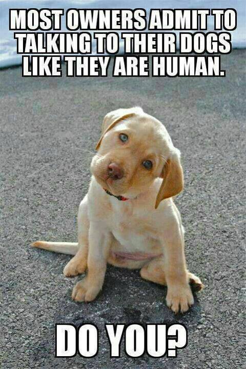 Do  you make up doggy language, too?

What does yours sound like?