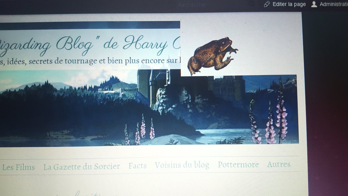 wizardingblog's tweet photo. Il est quand même mignon hein ?! 
Mais il prend toute la place. https://t.co/VmCuFjvQWo
